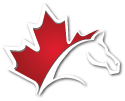Steed Immigration - Canadian Immigration